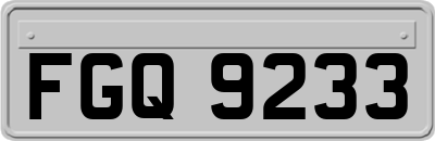 FGQ9233