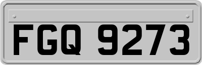 FGQ9273