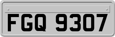 FGQ9307