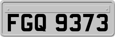 FGQ9373