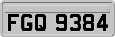 FGQ9384
