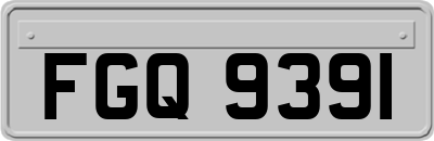 FGQ9391