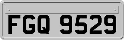 FGQ9529
