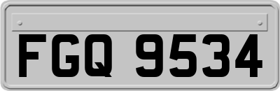 FGQ9534