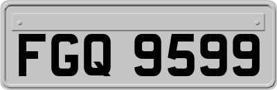 FGQ9599