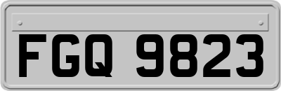 FGQ9823