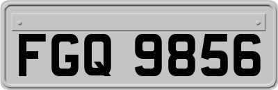 FGQ9856