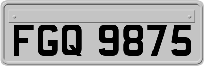 FGQ9875