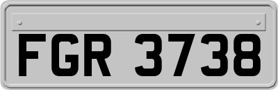 FGR3738