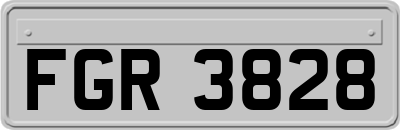 FGR3828