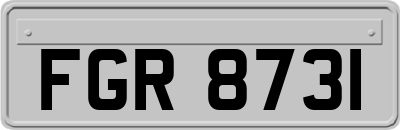 FGR8731