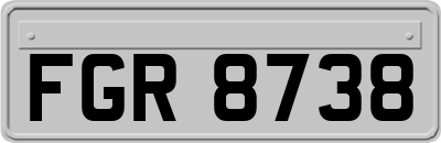 FGR8738