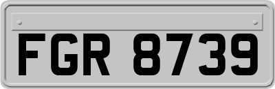 FGR8739