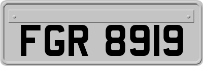 FGR8919