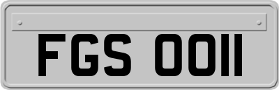 FGS0011