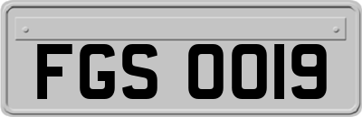 FGS0019