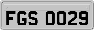 FGS0029