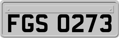 FGS0273