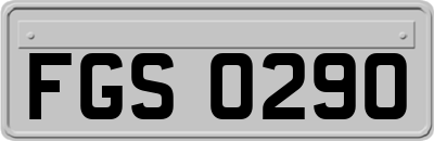 FGS0290