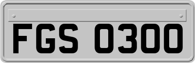 FGS0300