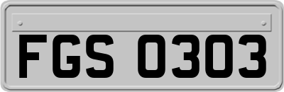 FGS0303
