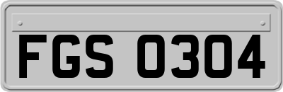 FGS0304