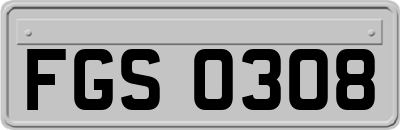 FGS0308