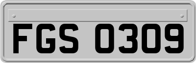 FGS0309