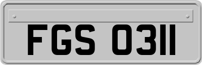 FGS0311