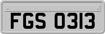 FGS0313