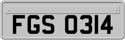 FGS0314