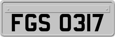 FGS0317