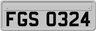 FGS0324