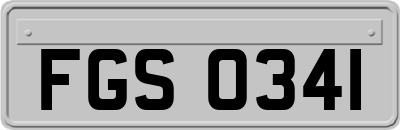 FGS0341