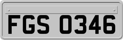 FGS0346