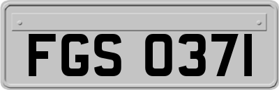 FGS0371