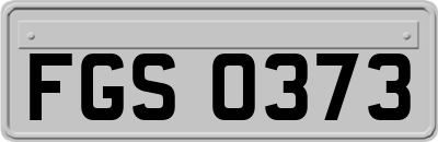 FGS0373