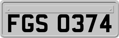 FGS0374