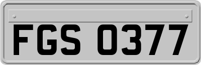 FGS0377