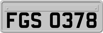 FGS0378