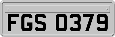 FGS0379