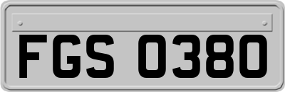 FGS0380