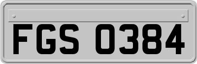 FGS0384