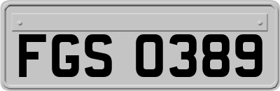FGS0389