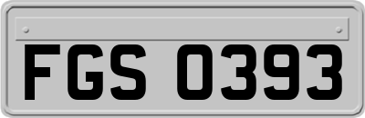 FGS0393