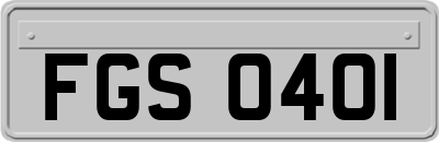 FGS0401