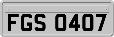 FGS0407