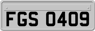 FGS0409