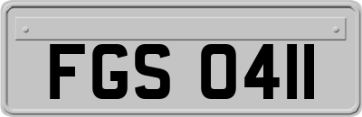 FGS0411