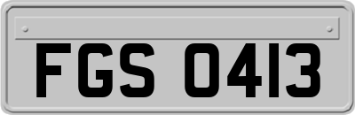 FGS0413